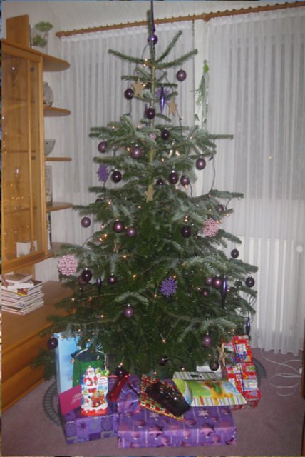 christmas2010.jpg